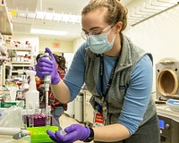 Scientist in lab researching to provide structural information at the atomic scale on COVID-19 virus. (Carlos Jones) ORNL Center for Structural and Molecular Biology, March 1, 2021. Original public domain image from Flickr