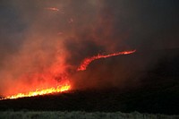 Ross Fork FireThe Ross Fork Fire burned actively in sagebrush through the night. 