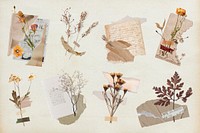 Aesthetic torn paper flower collage collection psd