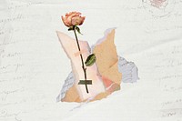 Aesthetic rose torn paper collage art