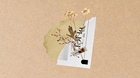 Desktop wallpaper aesthetic flower torn paper, circle, brown background