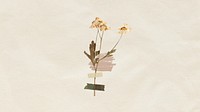 Desktop wallpaper aesthetic dried flower taped, beige background