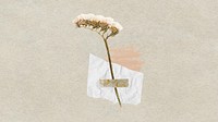 Desktop wallpaper aesthetic flower paper craft, beige background