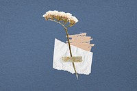 Aesthetic flower paper craft collage art