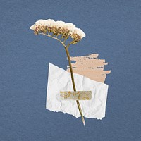 Aesthetic flower paper craft collage