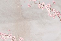 Pink flower, cherry blossom background