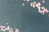 Pink flower, cherry blossom background