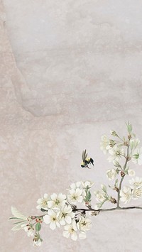 White vintage flower illustration iPhone wallpaper