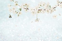 White flower illustration background