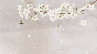 Pastel spring flower desktop wallpaper