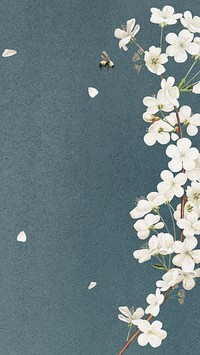 Flower illustration, spring iPhone wallpaper