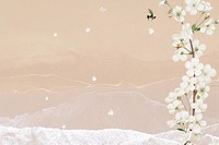 White flower illustration background