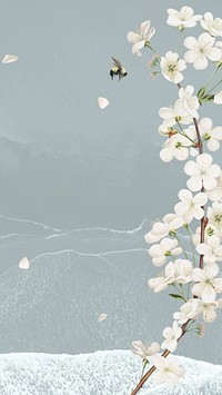 Flower illustration, spring iPhone wallpaper