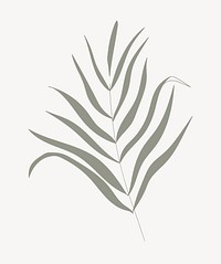 Green leaf aesthetic vector