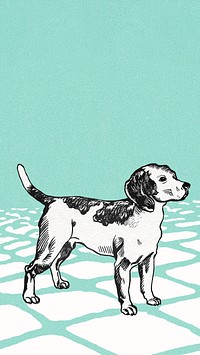Vintage beagle, green iPhone wallpaper