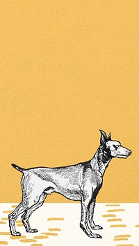 vintage doberman, yellow iPhone wallpaper