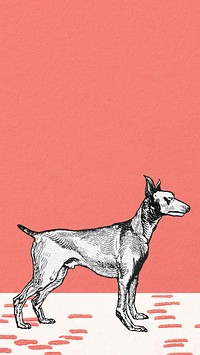 Vintage doberman, red iPhone wallpaper