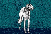 Vintage greyhound illustration