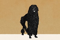 Vintage poodle illustration