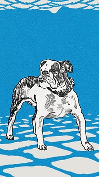 Pit-bull illustration, blue iPhone wallpaper