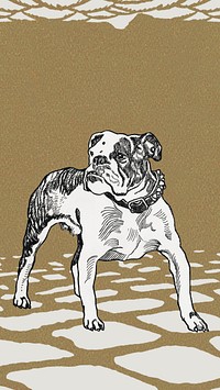 Pit-bull illustration, brown iPhone wallpaper