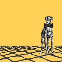 Vintage greyhound illustration  background image