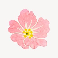 Pink peony flower watercolor psd