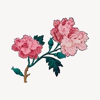 Vintage peony flower branch psd