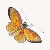 Vintage butterfly collage element vector