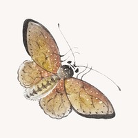 Vintage butterfly collage element vector
