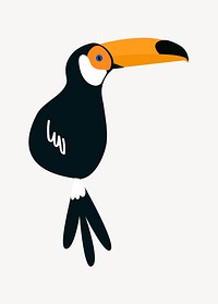 Toucan bird vector illustration