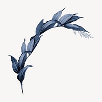 Vintage blue plant, Indian lily flower illustration psd