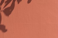 Red wall textured background, leaf shadow border