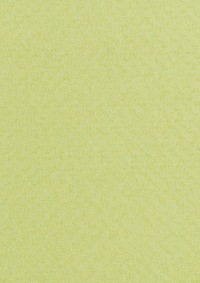 Green paper textured background