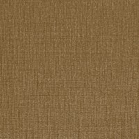 Brown canvas textured background