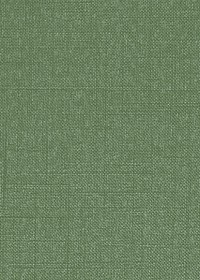 Green canvas textured background