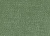 Green canvas textured background