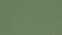 Green canvas textured background