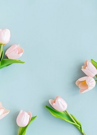 Aesthetic tulip flowers background, pastel blue design