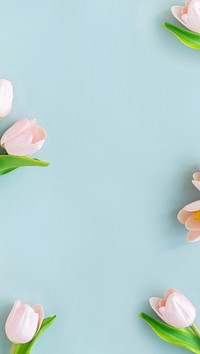 Aesthetic tulip flowers phone wallpaper, pastel blue background