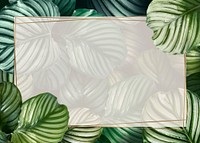 Tropical leaf frame background, botanical design