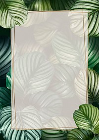 Tropical leaf frame background, botanical design