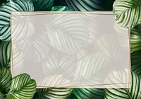 Tropical leaf frame background, botanical design