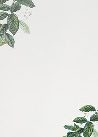 Off-white vintage leaf border background