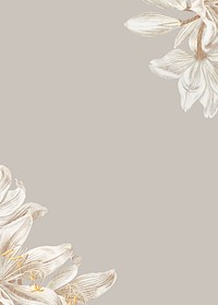 Vintage white flower background, greige border