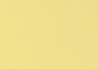 Yellow mustard textured background