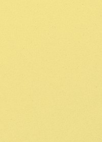 Yellow mustard textured background