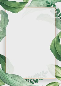 Vintage leaf frame background, botanical design