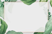 Vintage leaf frame background, botanical design