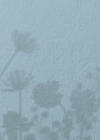 Blue wall textured background, flower shadow border